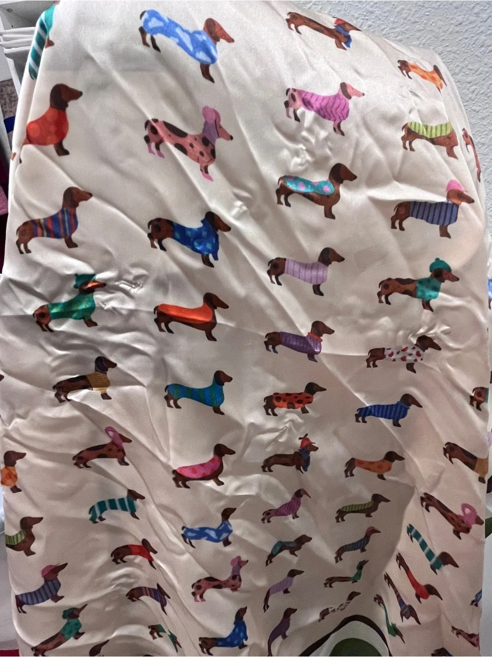 Women's Cream Dachshund Print Scarf with Green Border